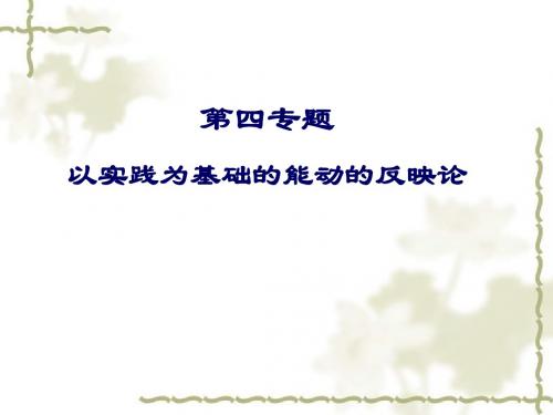 第4专题 认识世界和改造世界