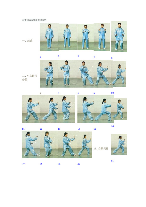 二十四式太极拳拳谱图解