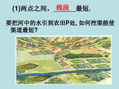 人教版数学七年级下册课件：5.1.2垂线第二课时