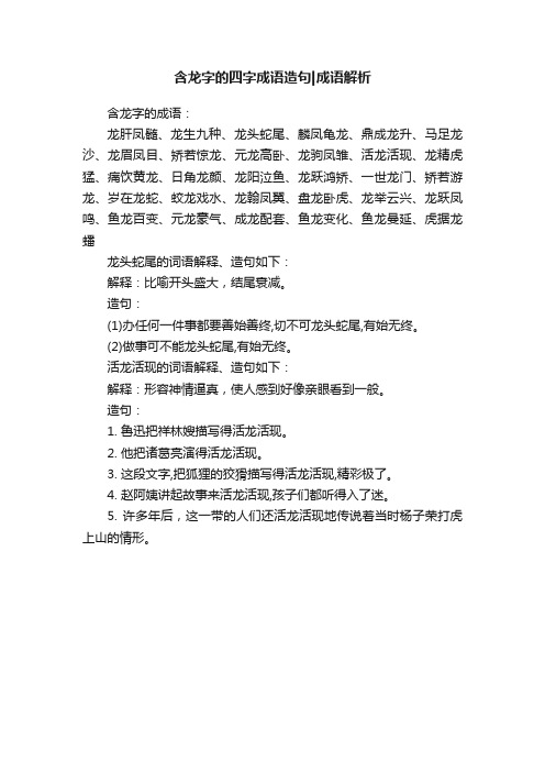 含龙字的四字成语造句成语解析