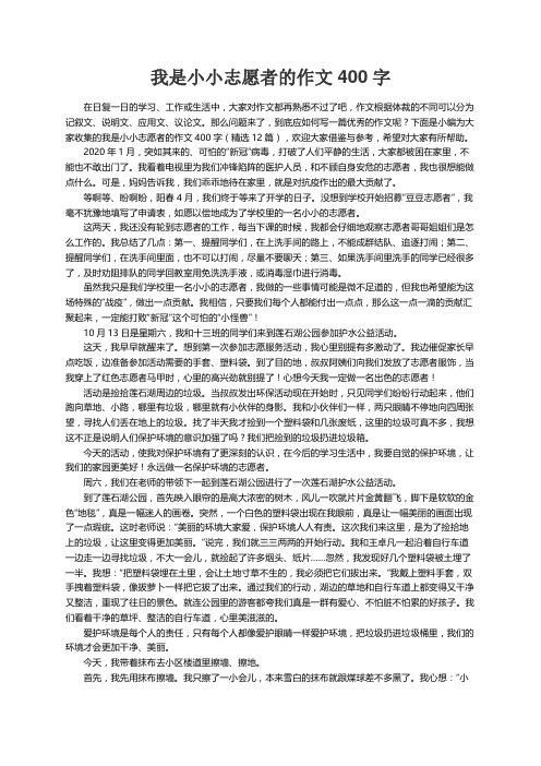 我是小小志愿者的作文400字（精选12篇）