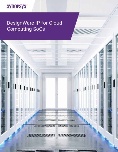 Synopsys DesignWare IP for HPC SoCs 2说明书