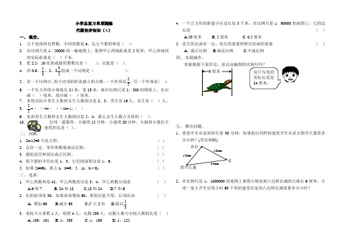 六年级专项复习02 专项训练2-代数初步知识