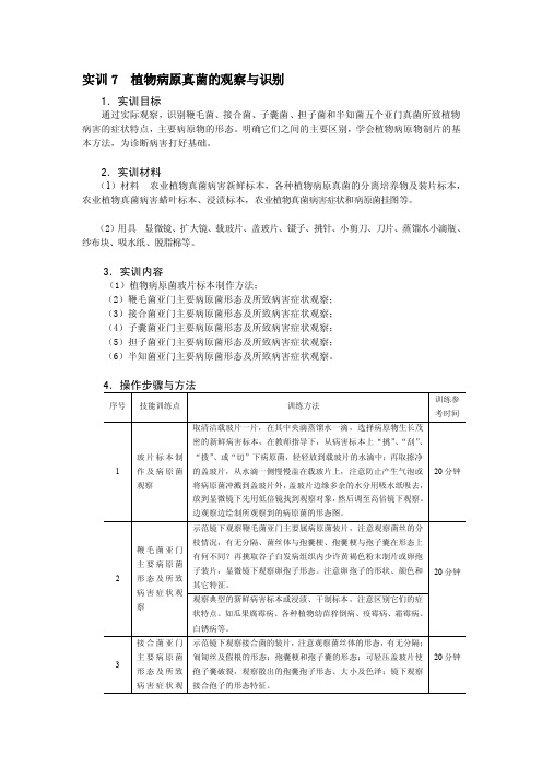 植物病原真菌的观察与识别