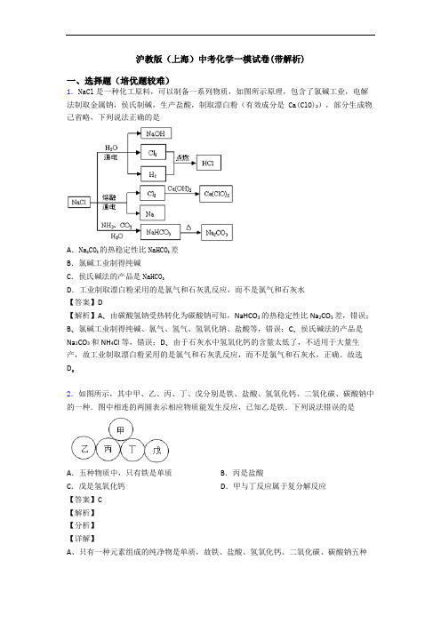 沪教版(上海)中考化学一模试卷(带解析)