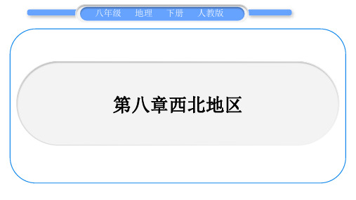 人教版八年级地理下地图专项复习第8章 西北地区习题课件