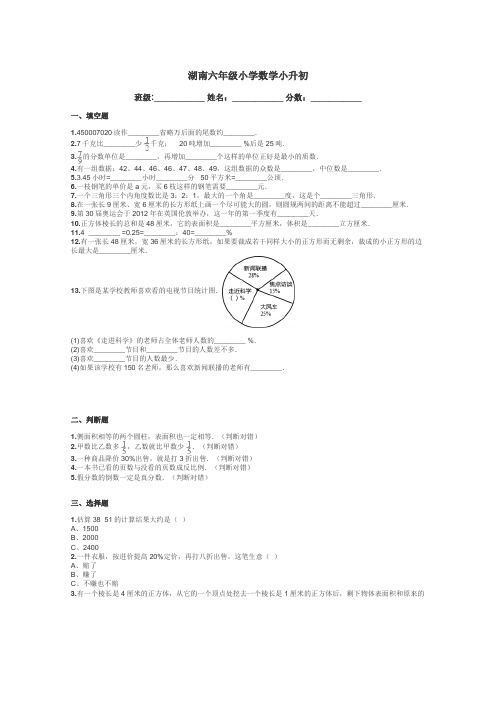 湖南六年级小学数学小升初带答案解析