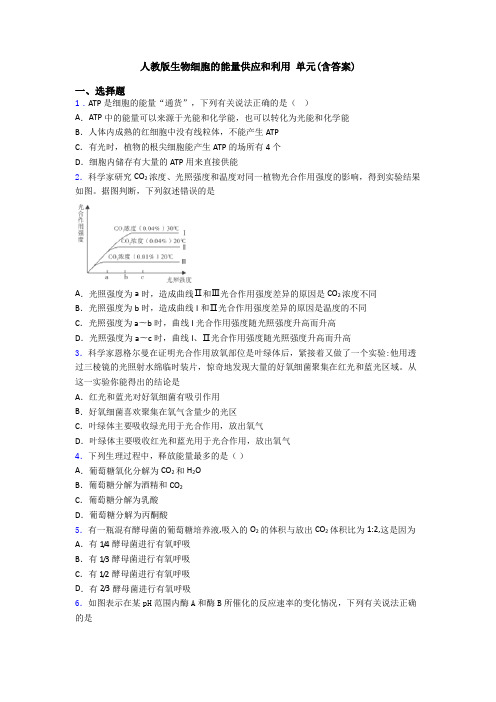 人教版生物细胞的能量供应和利用 单元(含答案)