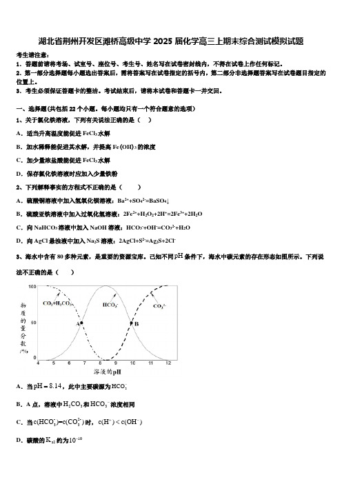 湖北省荆州开发区滩桥高级中学2025届化学高三上期末综合测试模拟试题含解析