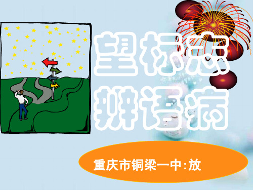 高考复习望标志辨语病ppt