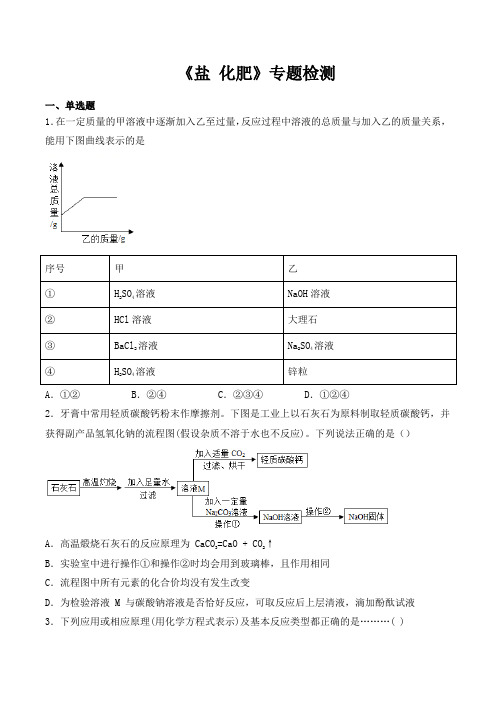 人教版初中化学2020中考复习专题《盐 化肥》专题检测(包含答案)