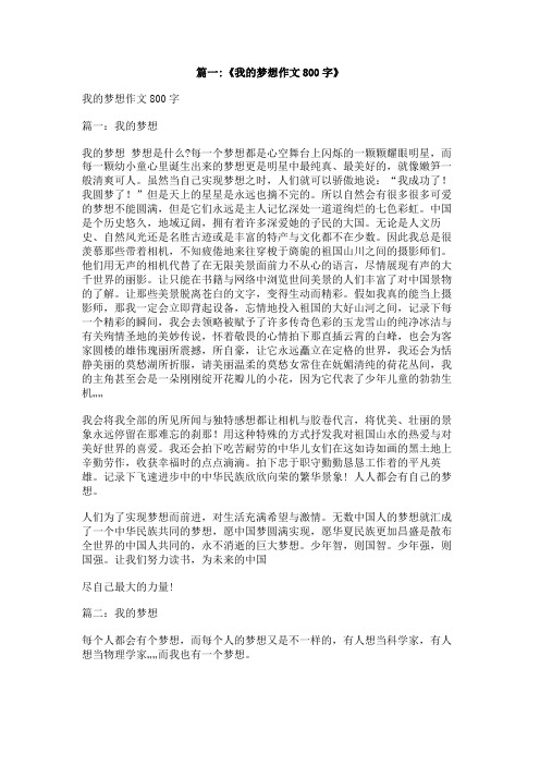 我的梦想开公司作文