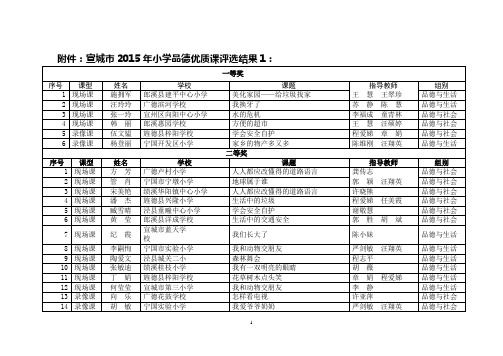 宣城2015年小学品德优质课评选结果1