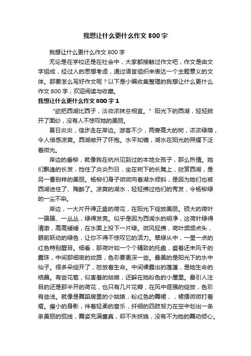 我想让什么更什么作文800字