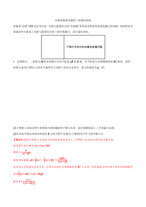 2020年高三物理专题 动量和能量问题的三组经典问题(解析版)