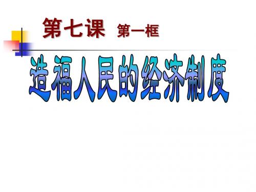 《造福人民的经济制度》参考课件2