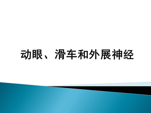 动眼、滑车、外展神经解剖[优质ppt]