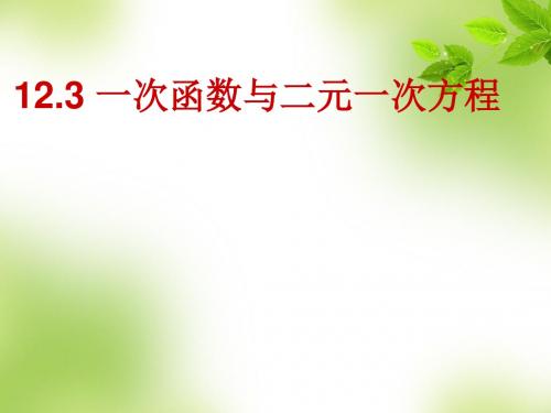 最新沪科版八年级数学上册课件：12.3一次函数与二元一次方程