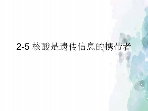 核酸是遗传信息的携带者【新教材】人教版高中生物必修一PPT课件1