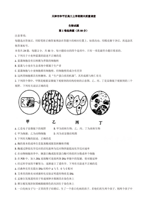 [精选]2019年天津市和平区高三上学期期末质量调查生物试题_有答案