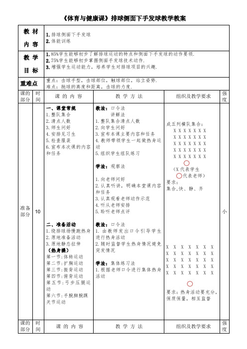 《体育与健康课》排球侧面下手发球教学教案