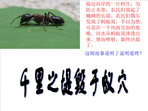 第十一课 不良行为、严重不良行为与犯罪行为