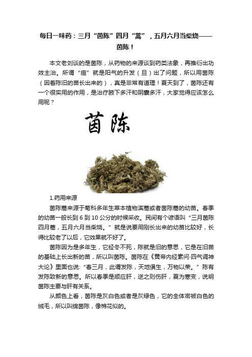 每日一味药：三月“茵陈”四月“蒿”，五月六月当柴烧——茵陈！