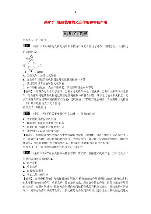 《精品》2019年中考生物总复习主题三生物圈中的绿色植物课时7绿色植物的光合作用和呼吸作用1