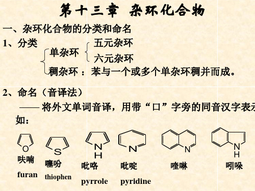 有机化学第13章杂环化合物