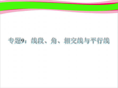 中考数学复习9：线段、角、相交线与平行线1(共29张PPT)  省一等奖课件