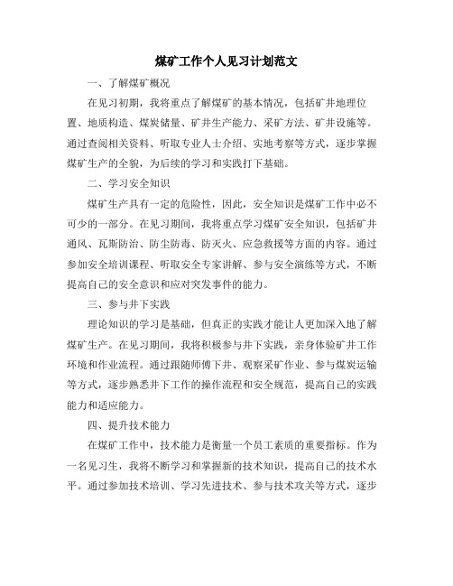 煤矿工作个人见习计划范文 (2)