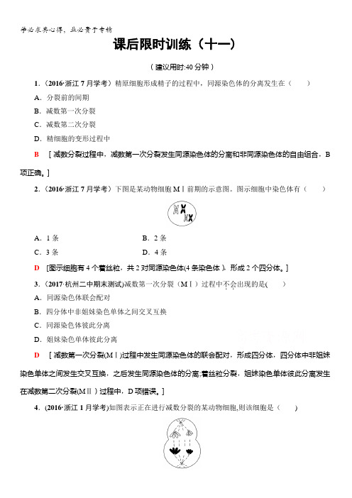 2018届高三生物(浙江选考)一轮复习文档1第4章第11讲课后限时训练11含答案