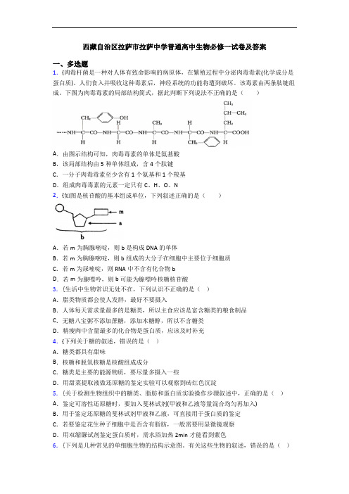 西藏自治区拉萨市拉萨中学普通高中生物必修一试卷及答案