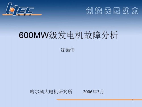 600MW发电机故障分析