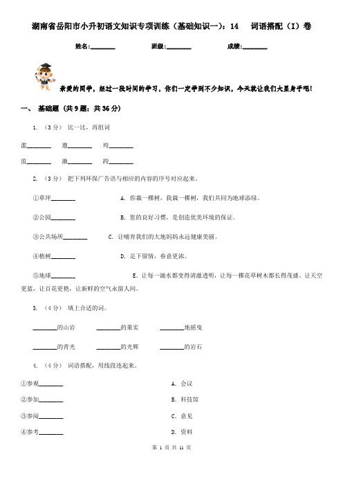 湖南省岳阳市小升初语文知识专项训练(基础知识一)：14   词语搭配(I)卷