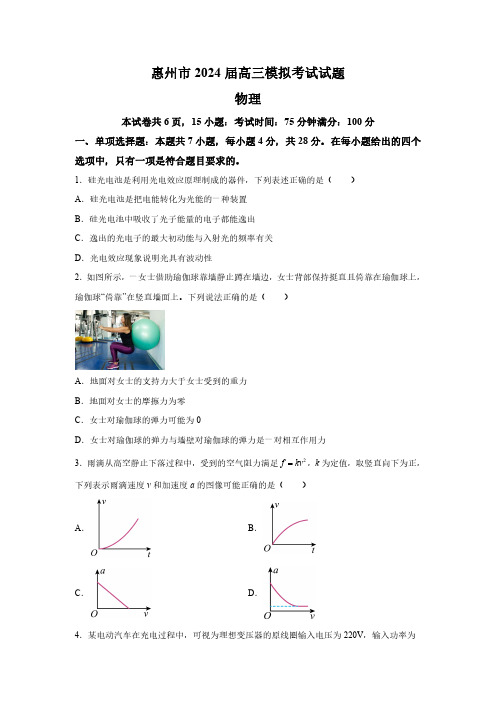 广东省惠州市2024届高三下学期一模拟考试 物理试题(含解析)