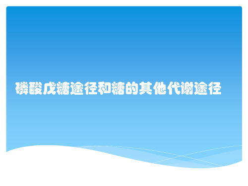 磷酸戊糖途径和糖的其他代谢途径