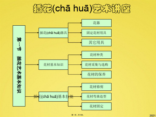 插花艺术基础知识(共15张PPT)