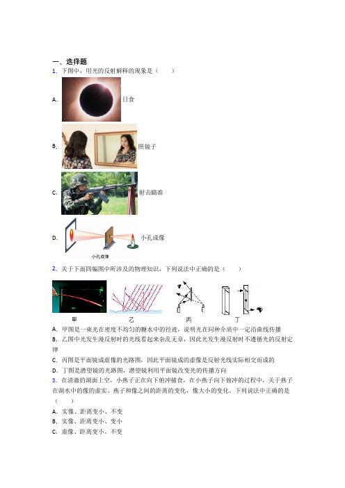 深圳西丽第二中学初中物理八年级上第五章《光现象》检测(含答案解析)