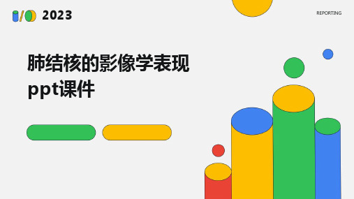 2024肺结核的影像学表现ppt课件