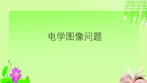 最新浙教版科学中考复习电学图像问题 (共35张PPT)教育课件