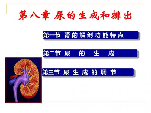 高中生物竞赛课件-动物生理学7泌尿