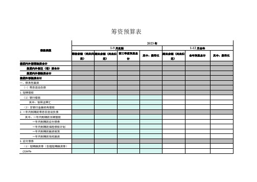 筹资预算表格