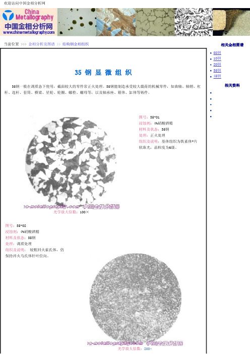 35钢显微组织