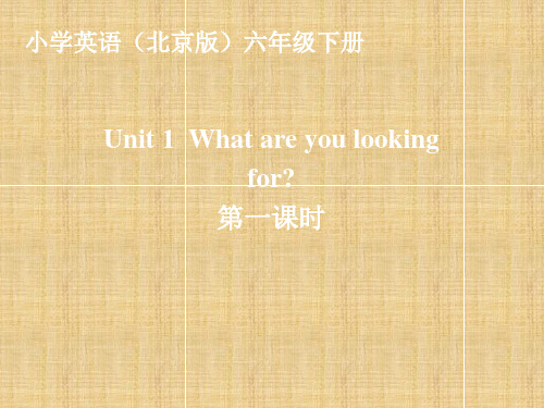 六年级下册英语课件-UNIT ONE WHAT ARE YOU LOOKING FOR LESSON 1 北京课改版