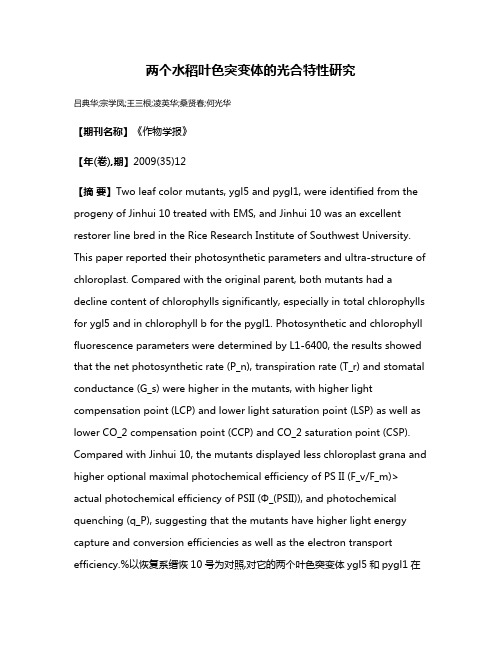 两个水稻叶色突变体的光合特性研究