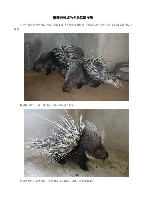 豪猪养殖场的冬季保暖措施