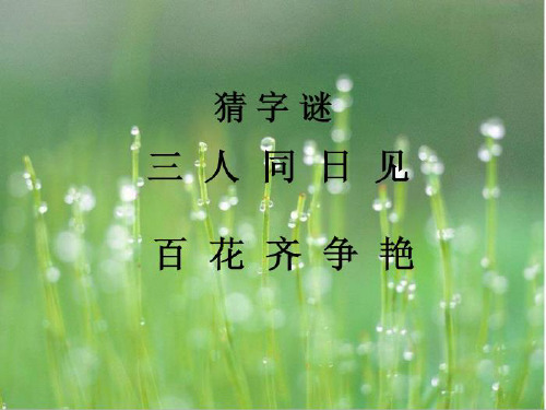 春雨蒙蒙的下啊