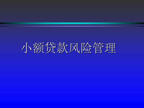 小额贷款风险管理课件(PPT 47页)