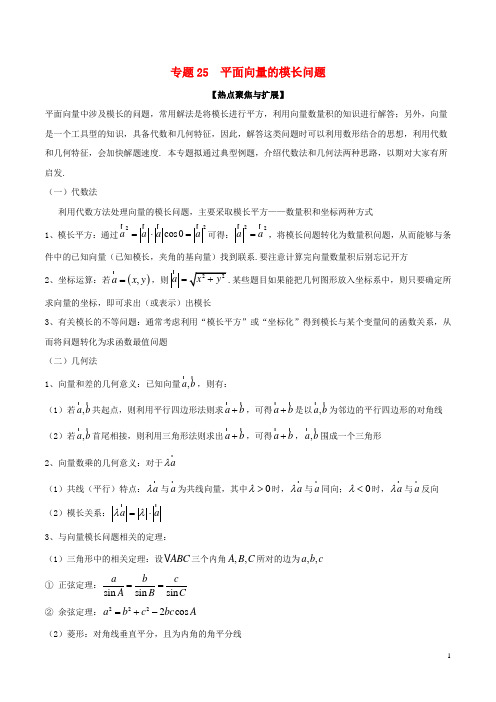 备战2019年高考数学大一轮复习 热点聚焦与扩展 专题25 平面向量的模长问题